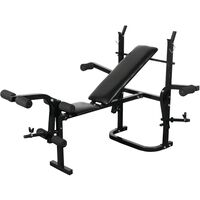 vidaXL Máquina multiusos para gimnasio y fitness, entrenamiento corporal  completo con placas de peso ajustables, adecuada para uso doméstico y