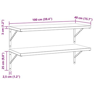 vidaXL Estantes de pared 2 uds acero inoxidable negro 100x40 cm