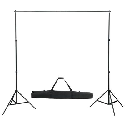 vidaXL Kit de estudio fotográfico con set de luces, fondo y reflector