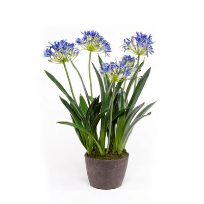 Emerald Planta de agapanto artificial 75 cm azul 