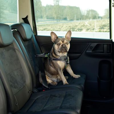 Kerbl Arnés de seguridad de coche para mascotas negro 50-65 cm