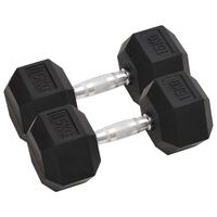 vidaXL Mancuernas 2 unidades hierro fundido 30 kg