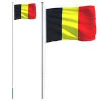 vidaXL Mástil y bandera de Bélgica aluminio 6,23 m