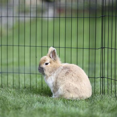 Kerbl Recinto para mascotas de exterior con puerta plateado