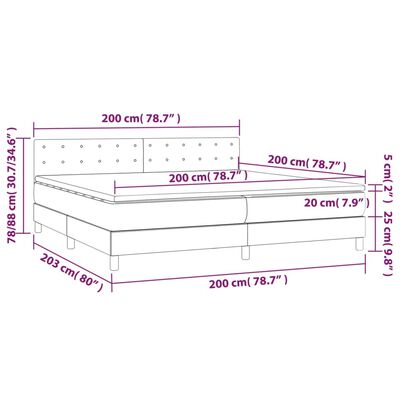 vidaXL Cama box spring colchón y LED terciopelo gris oscuro 200x200 cm