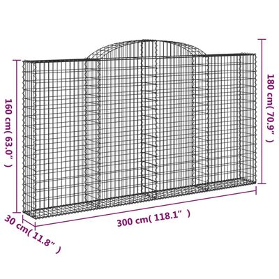 vidaXL Cestas de gaviones 2 uds forma de arco hierro 300x30x160/180 cm