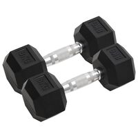 vidaXL Mancuernas 2 unidades hierro fundido 16 kg