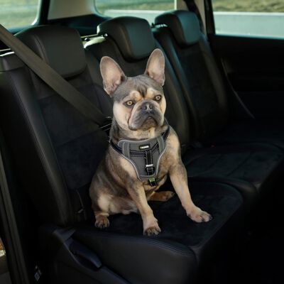 Kerbl Arnés de seguridad de coche para mascotas negro 50-65 cm
