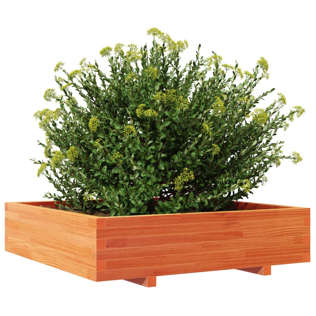 vidaXL Jardinera de madera maciza de pino marrón cera 100x100x26,5 cm