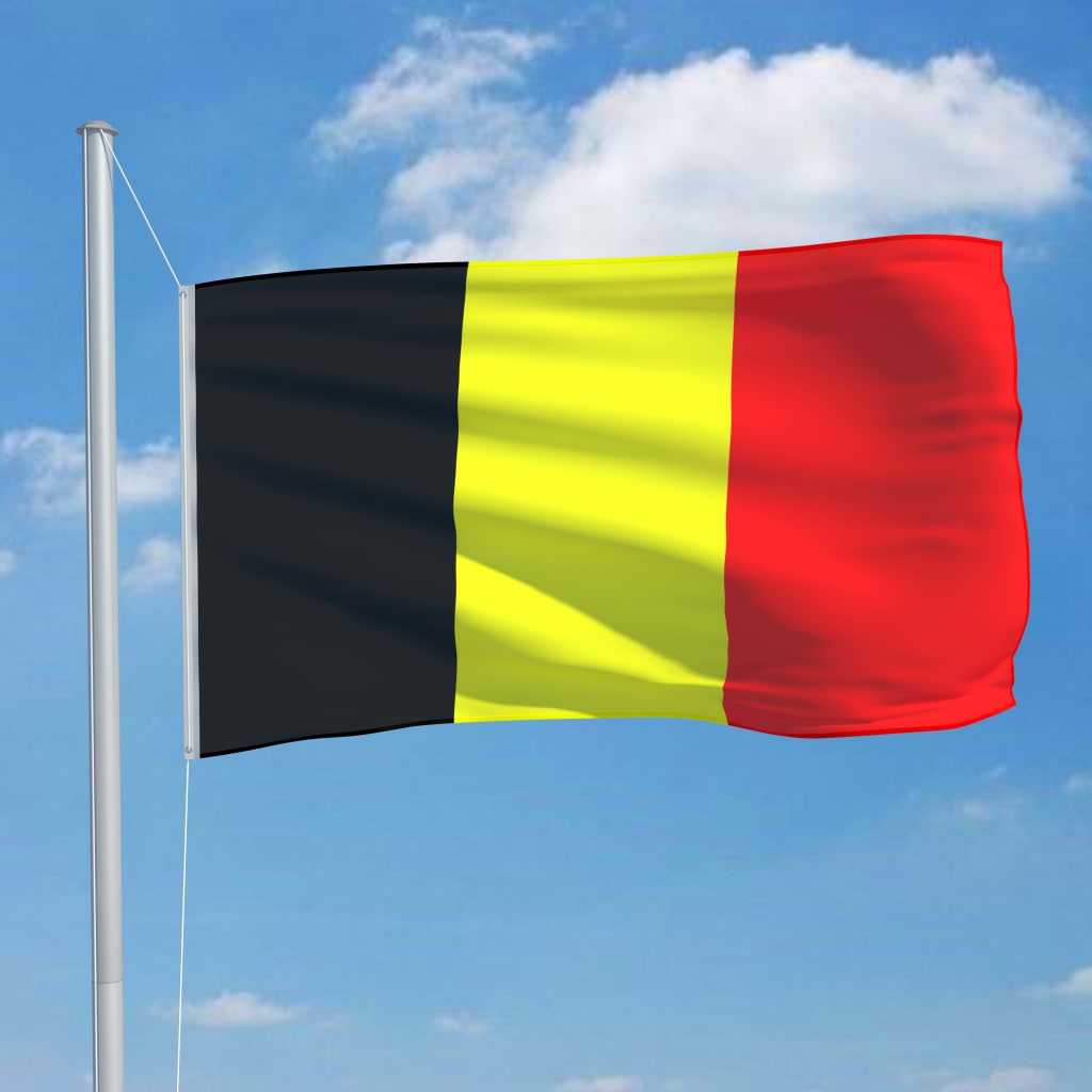 Bandera de Bélgica de 5,55 m de alto fabricada en poliéster y mástil de  aluminio Vida XL